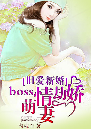 旧爱新婚：Boss情劫娇萌妻