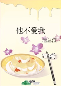 他不爱我