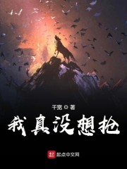 我真没想抢