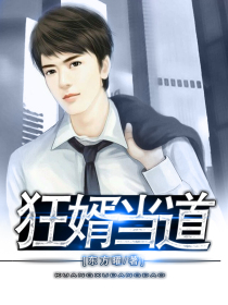 狂婿当道