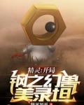 精灵：开局钢之幻兽美录坦
