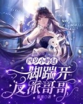 四岁小奶包：一脚踹开反派哥哥
