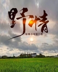 野情