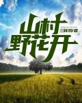 山村野花开