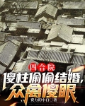 四合院:傻柱偷偷结婚,众禽傻眼全文