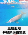 直播巡湖：开局邂逅白鱀豚