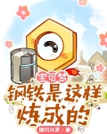 宝可梦：钢铁是这样炼成的