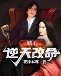 赌石：逆天改命