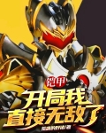 开局 就帝皇铠甲 无敌爽文