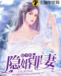 陆少的隐婚罪妻