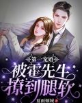 禁欲大叔轻点撩，替嫁娇妻被宠哭了